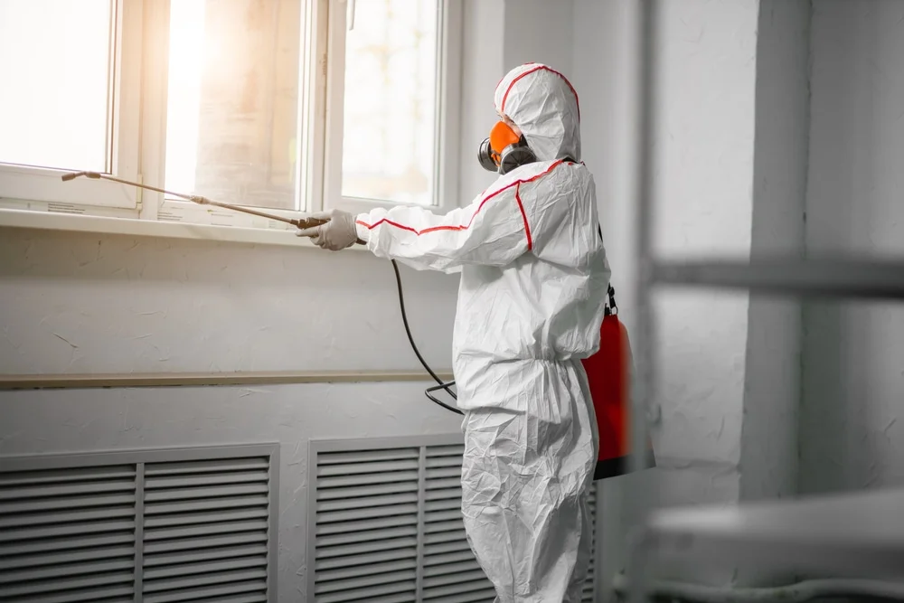 Professional mold remediation services in Dunstable, MA